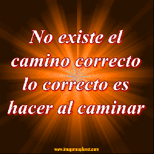 Imágenes de Reflexión GIF (4)