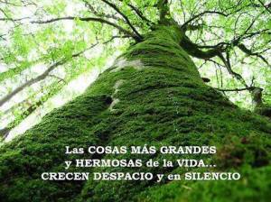 Imágenes de Reflexiones Bonitas (17)