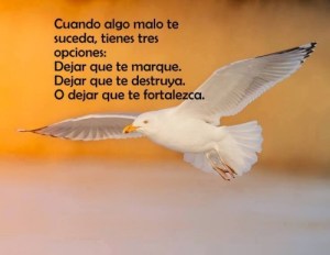 Imágenes de Reflexiones Bonitas (22)