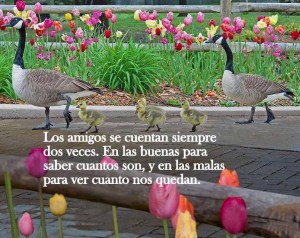 Imágenes de Reflexiones Bonitas (24)
