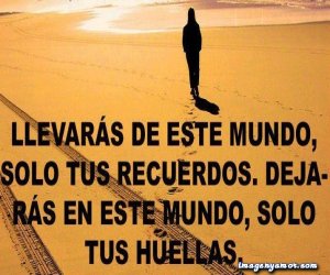 Imágenes de Reflexión sobre la Fantasía (1)