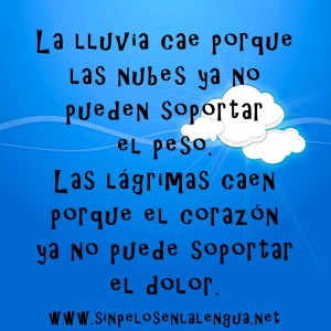 Imágenes de Reflexión sobre la Fantasía (6)