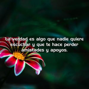 Imágenes de Reflexión sobre las Amistades (12)