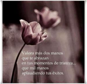 Imágenes de Reflexión sobre las Amistades (3)