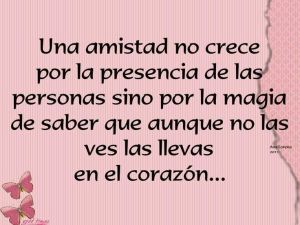 Imágenes de Reflexión sobre las Amistades (4)