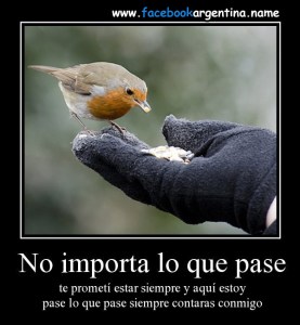 Imágenes de Reflexión sobre las Amistades (6)
