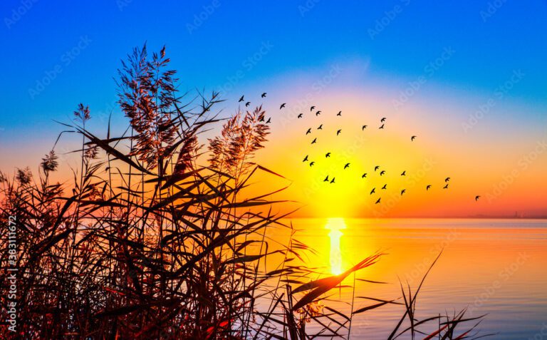 Qué bonita forma de iniciar el día 8 Qué bonita forma de iniciar el día