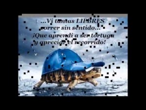 Imágenes de Reflexión Laboral (9)