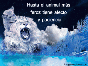 Imágenes de Reflexión en Movimiento (3)