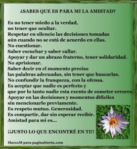 Imágenes de Reflexiones sobre la Amistad (12)