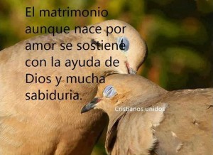 Imágenes de Reflexión de Parejas (6)