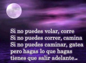 Imágenes Reflexiones sobre la Vida Diaria (11)