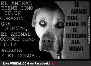 Imágenes Reflexiones sobre la Vida Diaria (2)