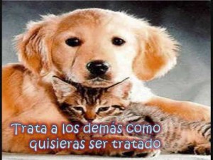 Imágenes de Reflexión con Amigos (2)