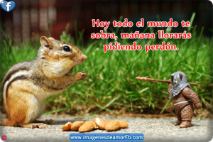 Imágenes de Reflexión y Motivación (7)