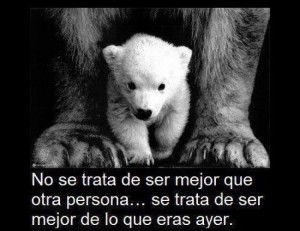 Imágenes de Reflexión y Superación (17)