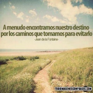 Imágenes de Reflexión sobre el Destino (7)