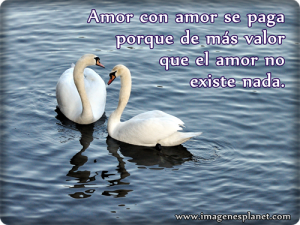 Imágenes de Reflexiones con Aves (3)