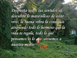 Imágenes de Reflexión Sobre la Naturaleza (4)