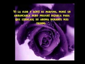 Imágenes de Reflexiones en Poemas (9)