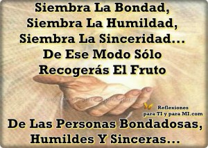 Imágenes de Reflexión ante la Vida (5)