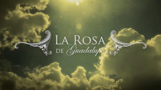 Rosa de Guadalupe abordando temas sociales