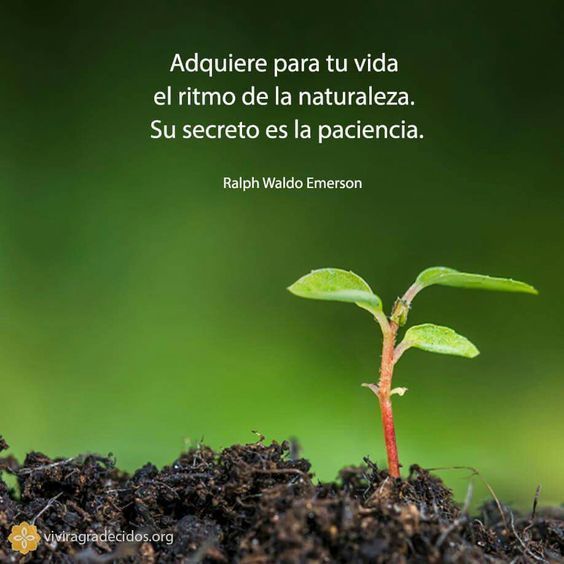 Cómo construir un mundo mejor frases 4 Frases motivacionales en la naturaleza