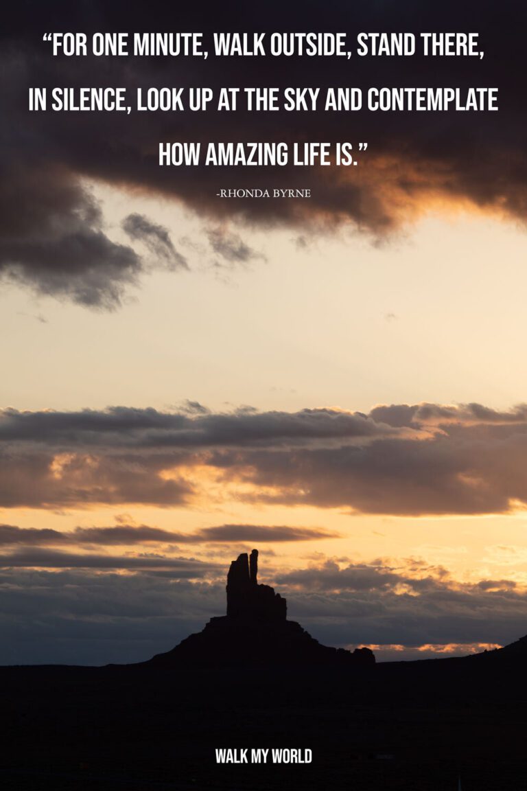 Qué frase de motivación te inspira cada día 7 Qué frase de motivación te inspira cada día