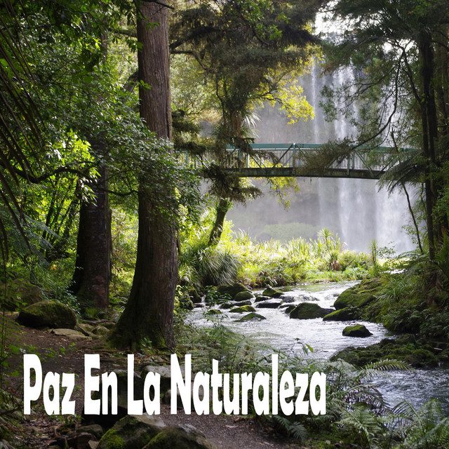 Cómo te hace sentir el amor de Dios