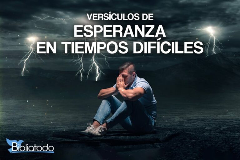 Cuando un gran amigo fallece: Frases de consuelo y memoria 6 Cuando un gran amigo fallece: Frases de consuelo y memoria