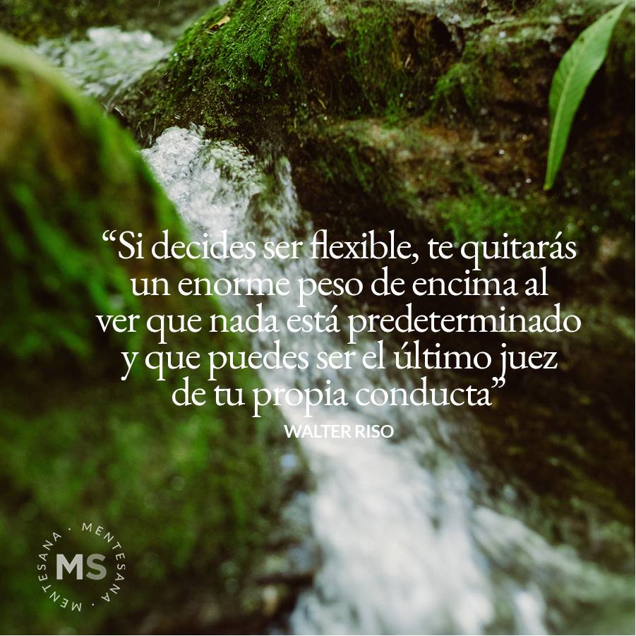 Cómo construir un mundo mejor frases 3 Frases inspiradoras sobre cambiar el mundo