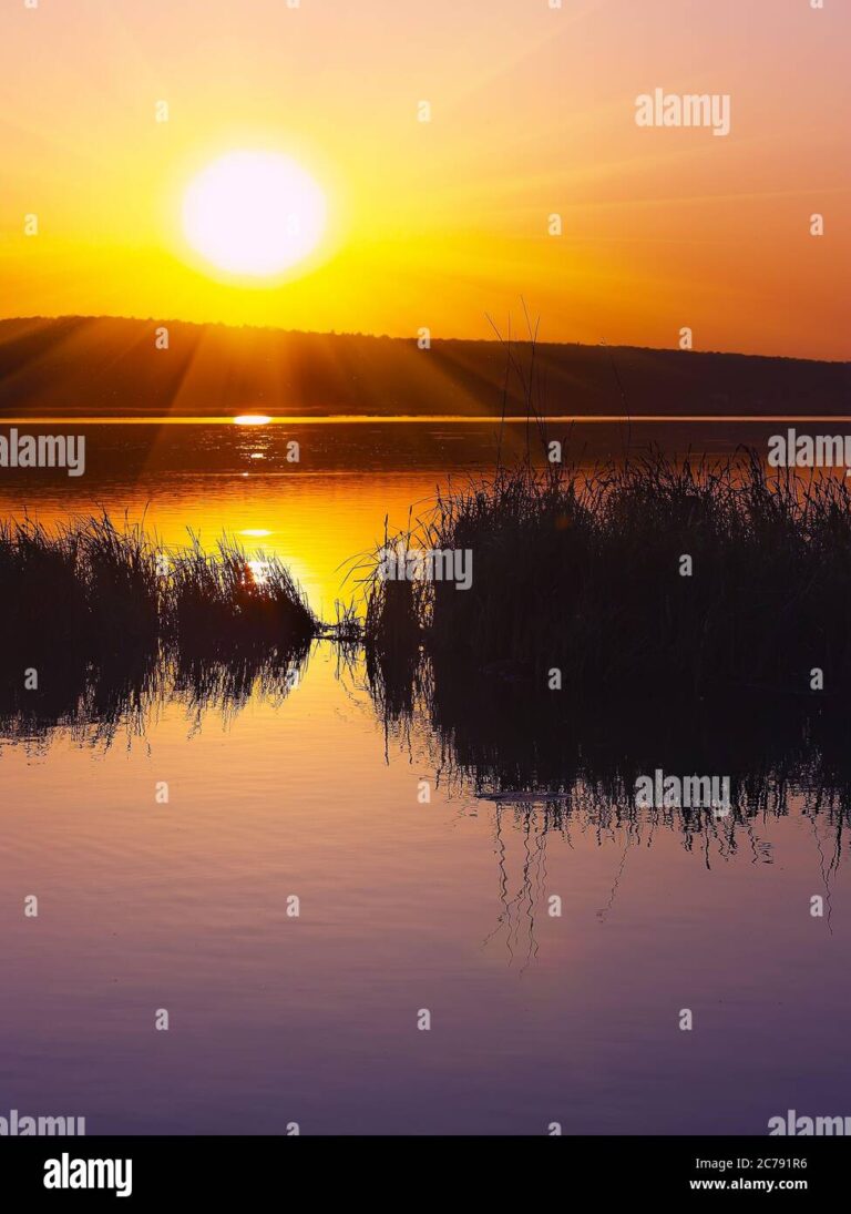 Frases Inspiradoras sobre Reflejos en el Agua para Renovar tu Espíritu 4 Frases Inspiradoras sobre Reflejos en el Agua para Renovar tu Espíritu