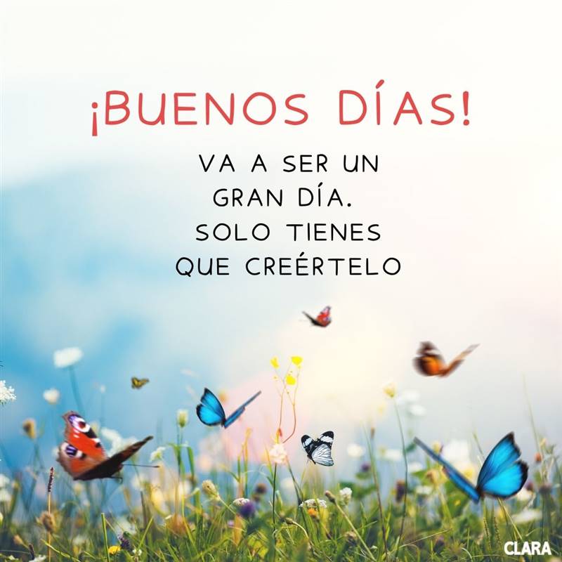 Frase de buenos días creativa y original