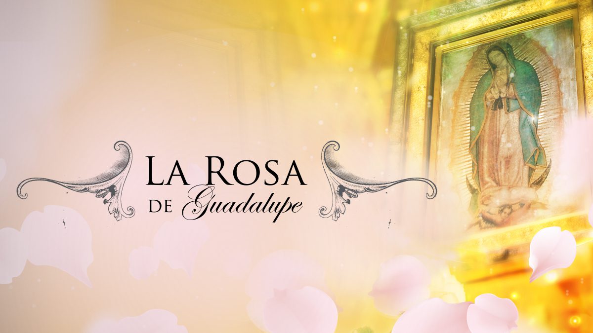 Rosa de Guadalupe en la televisión mexicana