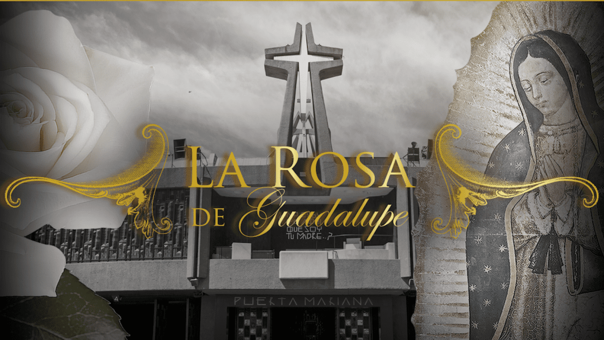 Rosa de Guadalupe simbólica